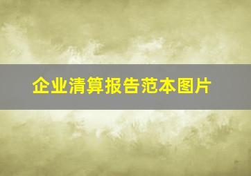 企业清算报告范本图片