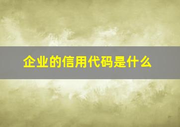 企业的信用代码是什么