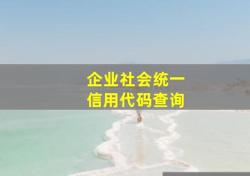 企业社会统一信用代码查询