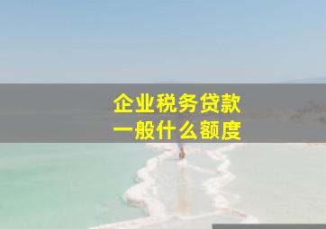 企业税务贷款一般什么额度