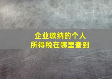 企业缴纳的个人所得税在哪里查到