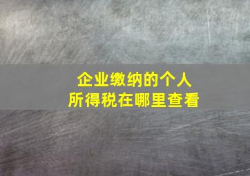 企业缴纳的个人所得税在哪里查看