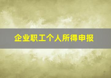 企业职工个人所得申报