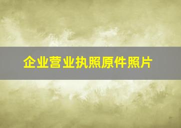 企业营业执照原件照片