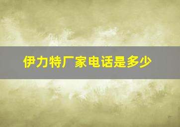 伊力特厂家电话是多少