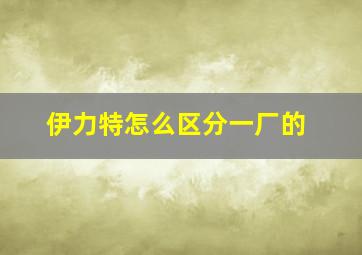 伊力特怎么区分一厂的