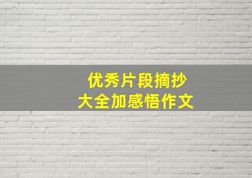 优秀片段摘抄大全加感悟作文