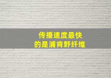 传播速度最快的是浦肯野纤维