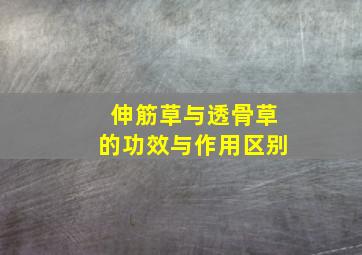 伸筋草与透骨草的功效与作用区别