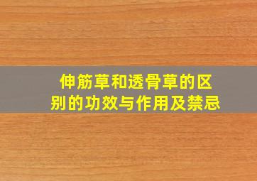 伸筋草和透骨草的区别的功效与作用及禁忌