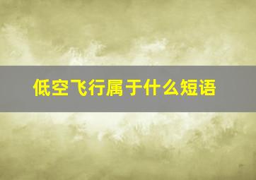 低空飞行属于什么短语