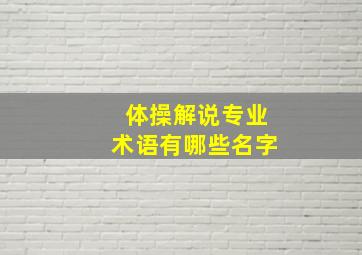 体操解说专业术语有哪些名字