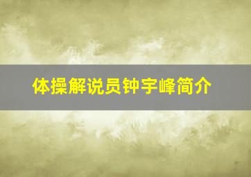 体操解说员钟宇峰简介