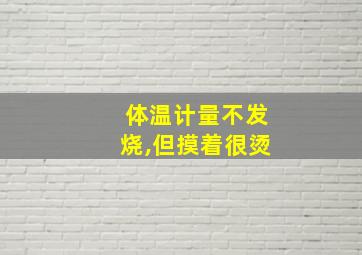 体温计量不发烧,但摸着很烫