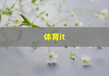 体育it