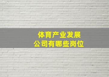 体育产业发展公司有哪些岗位