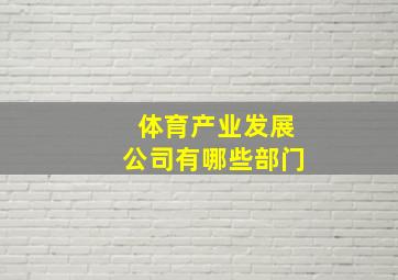 体育产业发展公司有哪些部门