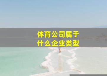 体育公司属于什么企业类型