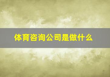 体育咨询公司是做什么