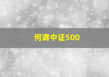 何谓中证500