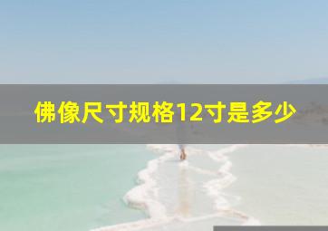 佛像尺寸规格12寸是多少