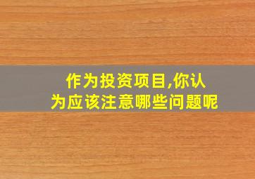 作为投资项目,你认为应该注意哪些问题呢