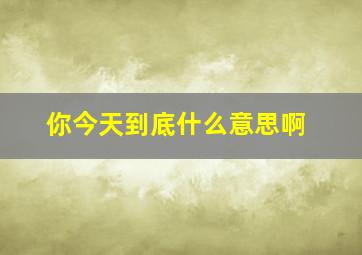 你今天到底什么意思啊