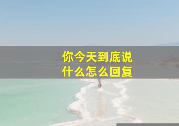 你今天到底说什么怎么回复