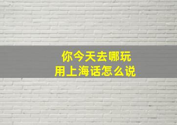 你今天去哪玩用上海话怎么说