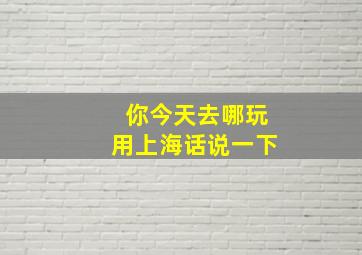 你今天去哪玩用上海话说一下