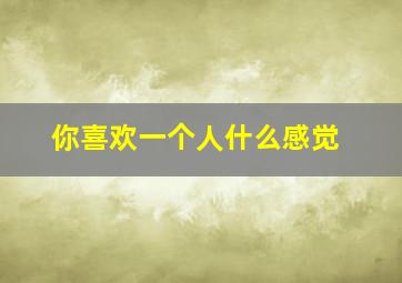 你喜欢一个人什么感觉