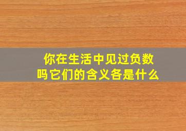 你在生活中见过负数吗它们的含义各是什么