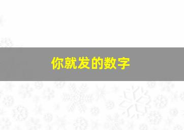 你就发的数字