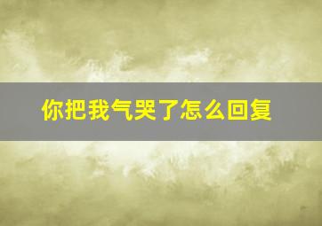 你把我气哭了怎么回复