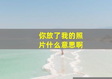 你放了我的照片什么意思啊