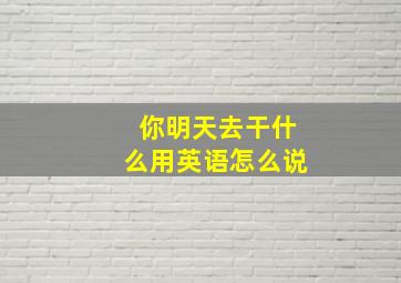 你明天去干什么用英语怎么说