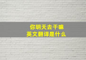 你明天去干嘛英文翻译是什么