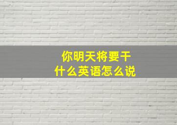 你明天将要干什么英语怎么说