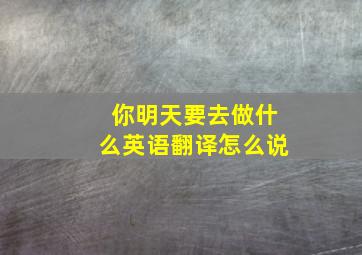 你明天要去做什么英语翻译怎么说