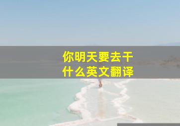 你明天要去干什么英文翻译