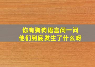 你有狗狗语言问一问他们到底发生了什么呀