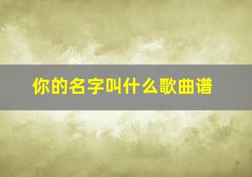 你的名字叫什么歌曲谱