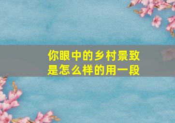 你眼中的乡村景致是怎么样的用一段