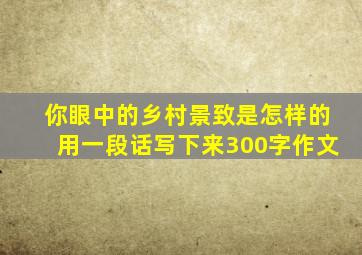 你眼中的乡村景致是怎样的用一段话写下来300字作文