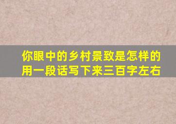 你眼中的乡村景致是怎样的用一段话写下来三百字左右