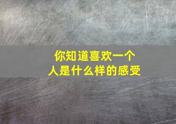 你知道喜欢一个人是什么样的感受