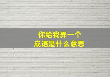 你给我弄一个成语是什么意思