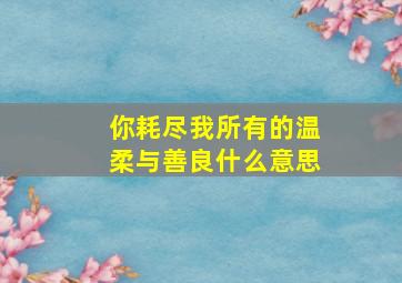 你耗尽我所有的温柔与善良什么意思