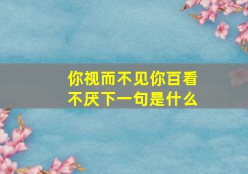 你视而不见你百看不厌下一句是什么