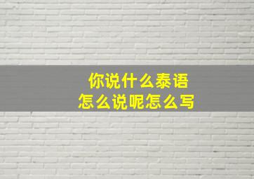 你说什么泰语怎么说呢怎么写